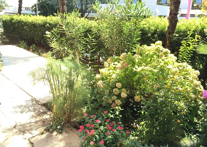 ゲストハウス Borka 3*