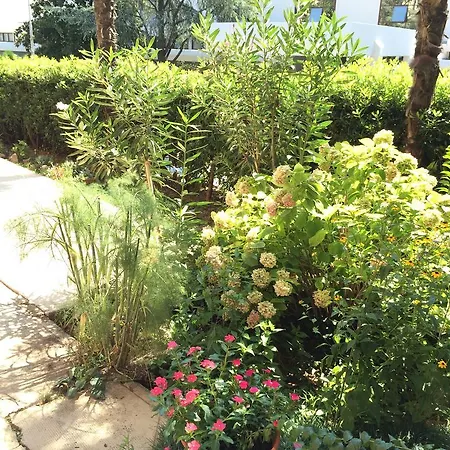 Guest house Borka 3*