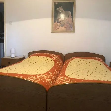 Guest house Borka 3*